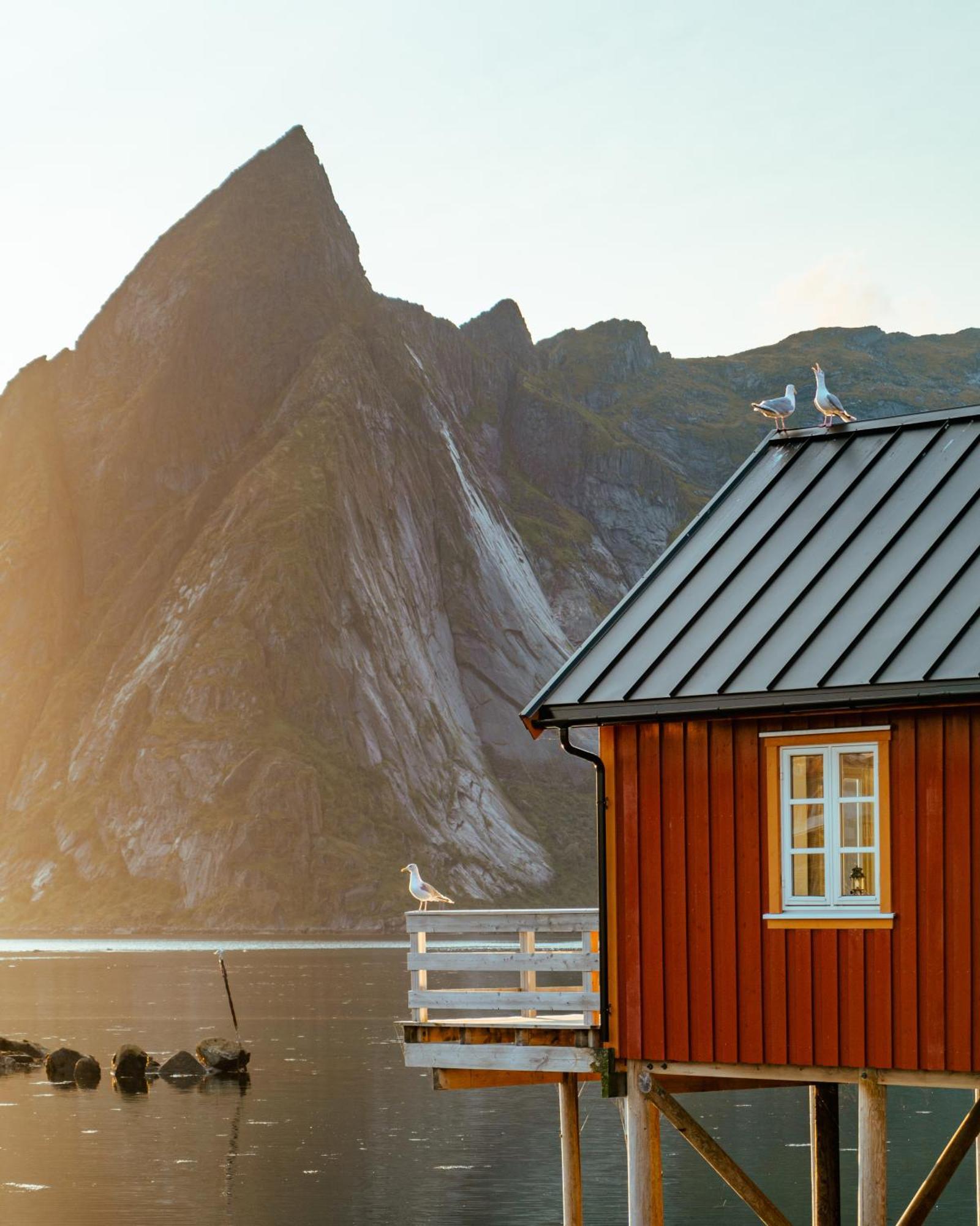 Апартаменты Reinefjorden Sjohus Экстерьер фото